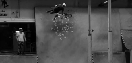 Mike-Würzinger-Wicked-Woods-Video