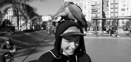 Robbo-Mutiny-Cool-Story-Video