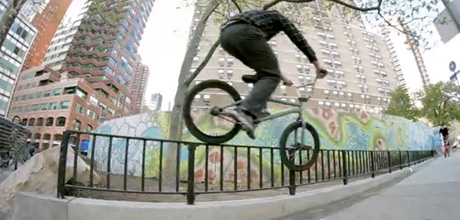 team-saf-carter-meeuwissen-edit