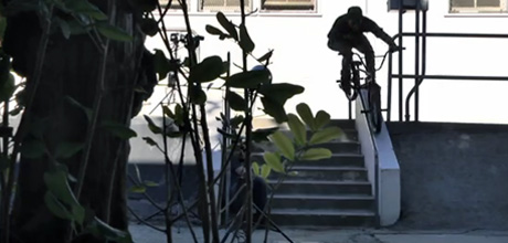 wethepeople-back-cali-edit