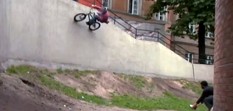 wethepeople-dogs-fog-video