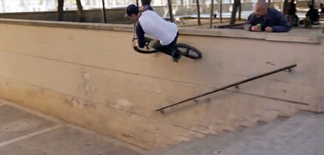 Animal-Bikes-Safe-Nath-Edit