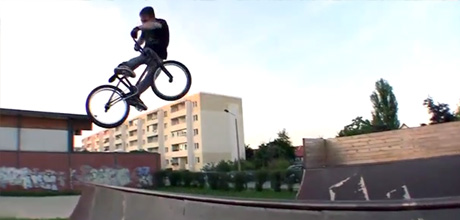 Martin-Gebauer-Leservideo