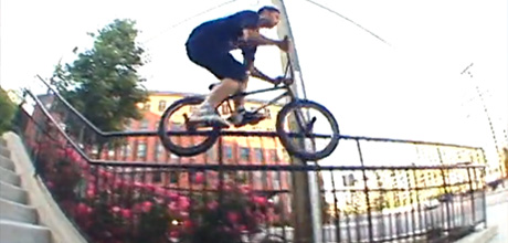 animal-bikes-qss-3-mixsection