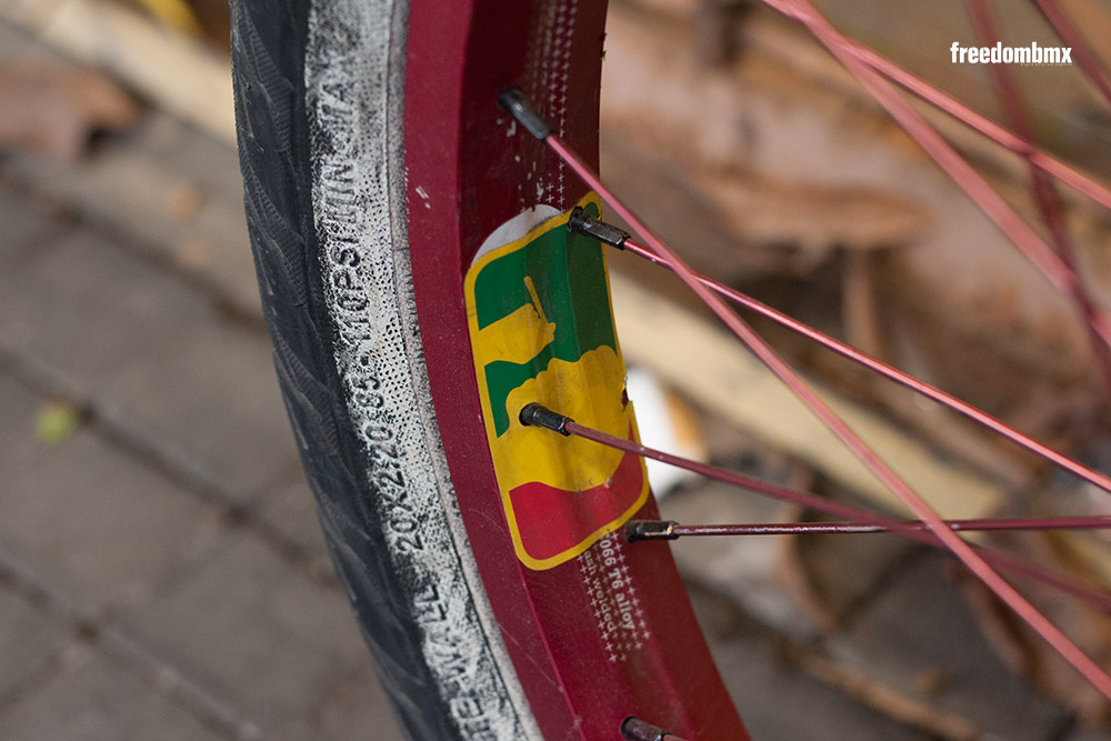 Christian-Heger-Bikecheck-07