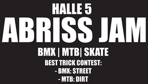 Halle-5-Abriss-Wochenende-Mainz