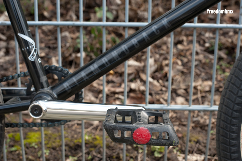 Rob-Ferrett-Bikecheck-11