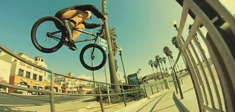 Dakota-Roche-Stance-Welcome-Edit