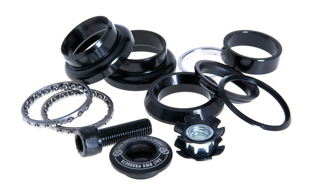 SAL12_headsAM_looseb