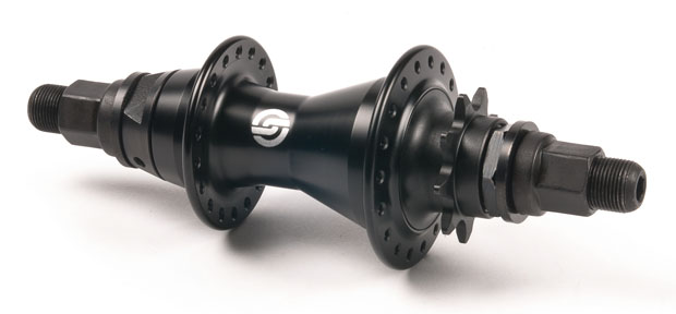 SAL13_ProCassR_blkAM