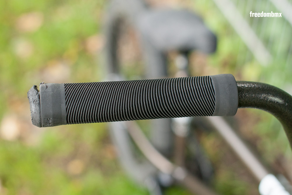 Eddie-Baum-Bikecheck