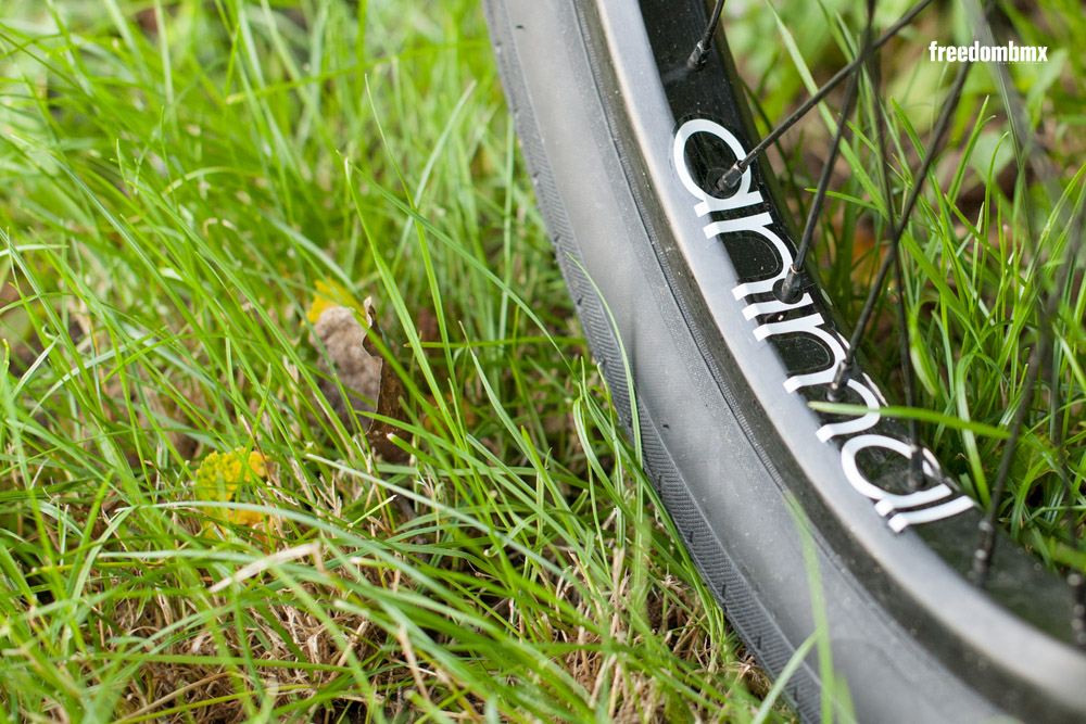 Eddie-Baum-Bikecheck