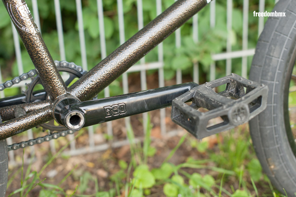 Eddie-Baum-Bikecheck