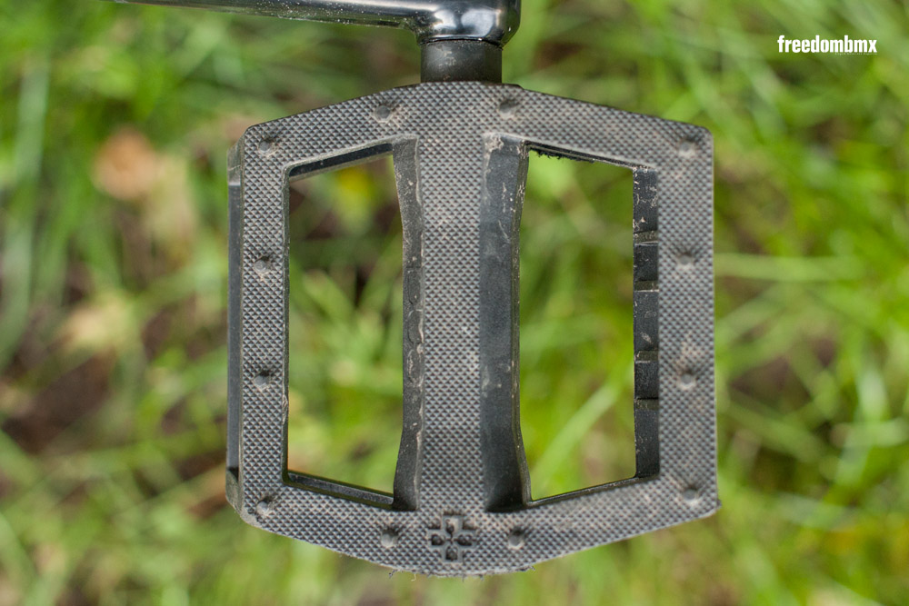 Eddie-Baum-Bikecheck