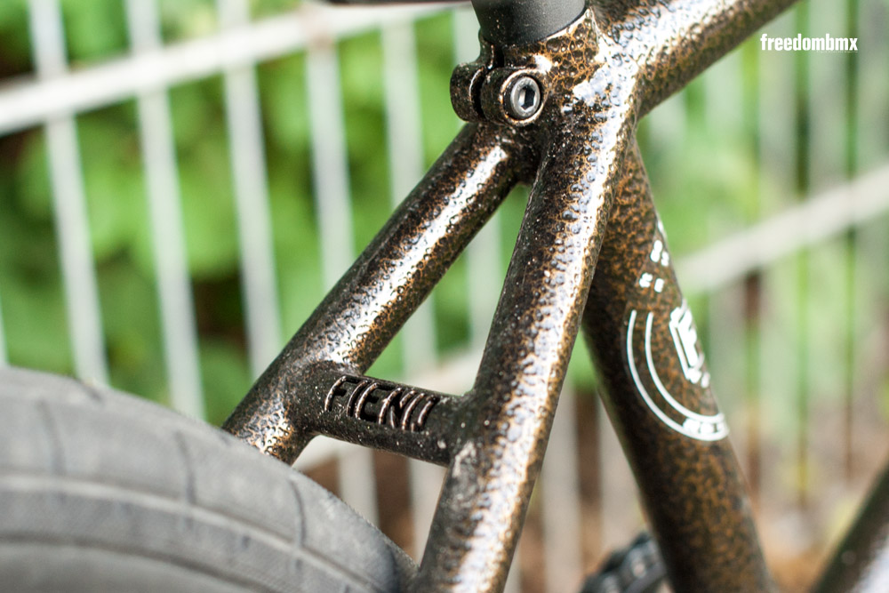 Eddie-Baum-Bikecheck