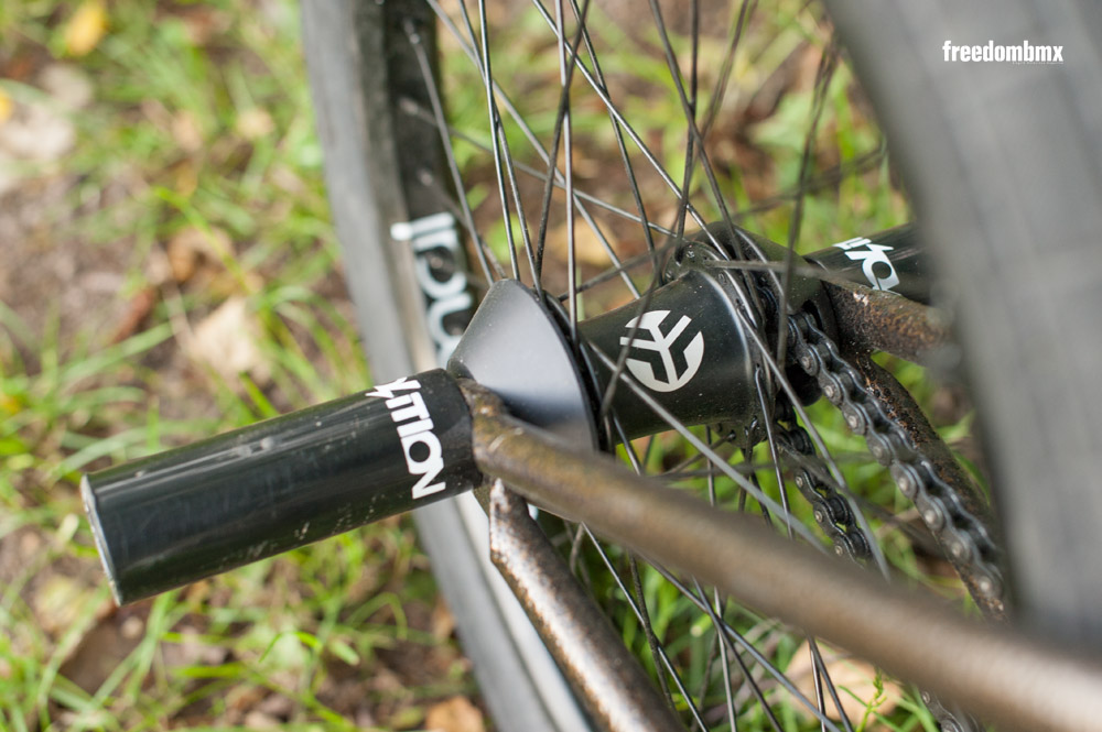 Eddie-Baum-Bikecheck