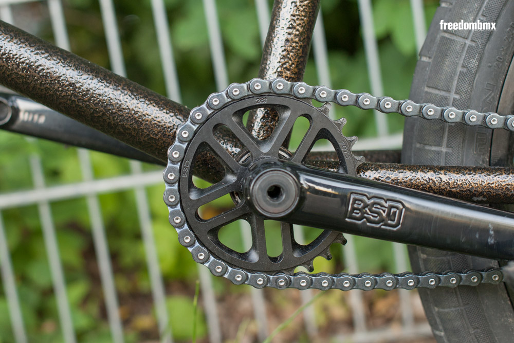 Eddie-Baum-Bikecheck