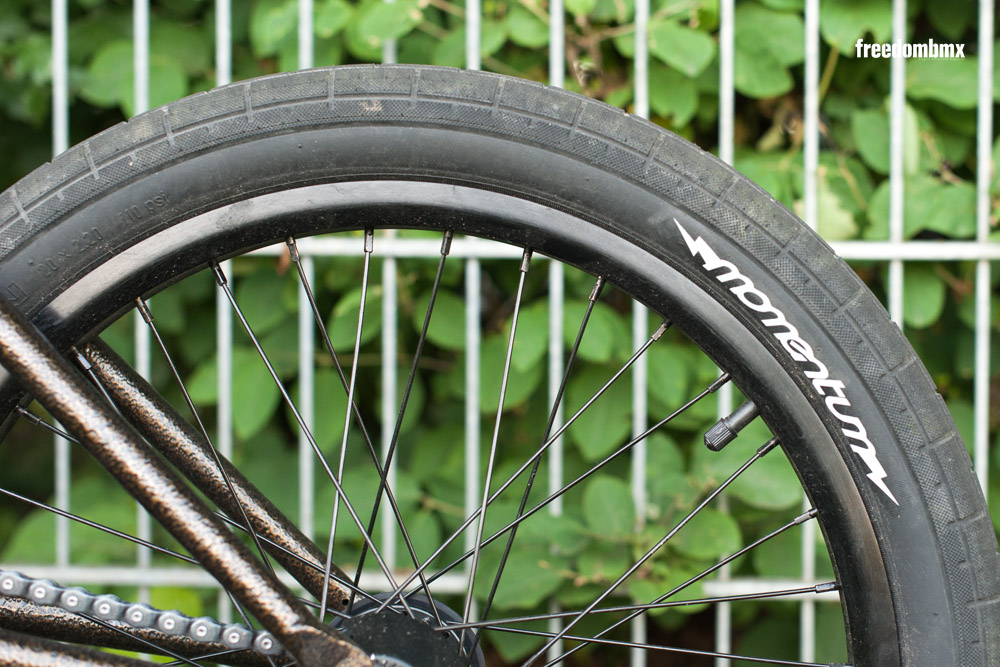 Eddie-Baum-Bikecheck