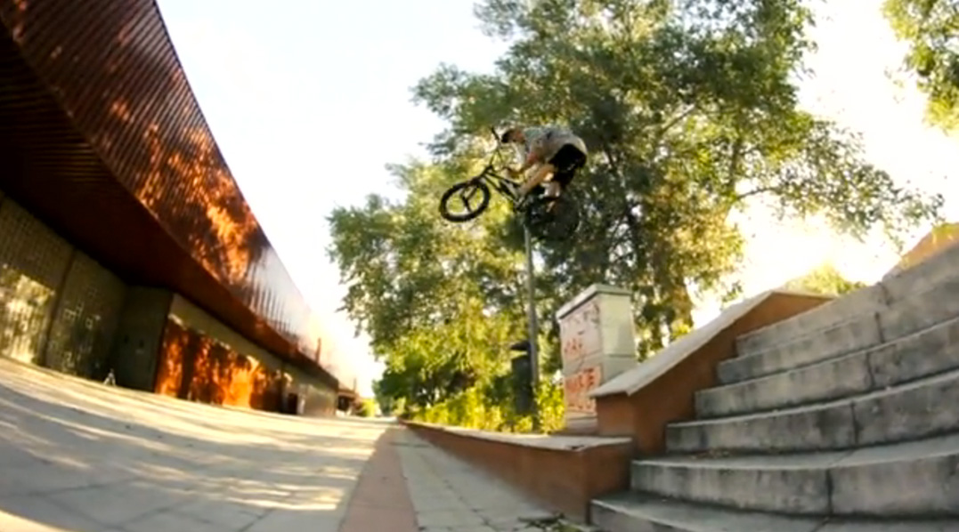 Welcome-to-Animal-Gonzalez