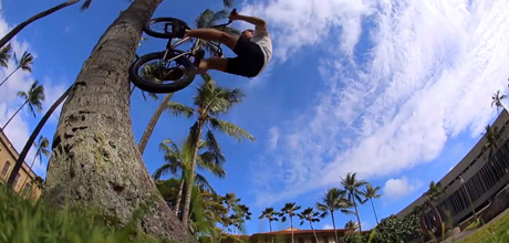 arthur-dietrich-jc-pieri-catch-us-hawaii-video