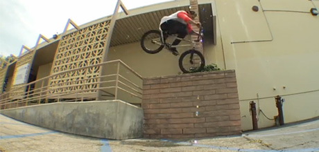 Dakota-Roche-Cult-Crew-Sessions-Interview