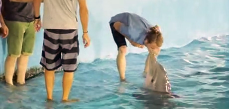 Odyssey-BMX-Kuba-Video