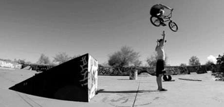 cali-2-flori-bmx-trailer