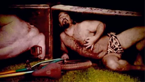 stereo-bmx-hairy-beast-bike-box