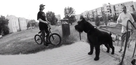 anthony-perrin-dig-bmx-budapest-video