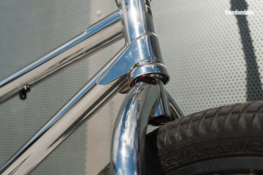 Janek Wentzky Bikecheck