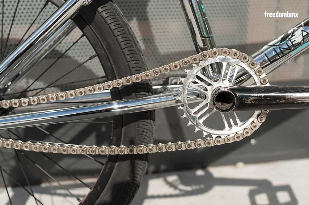 Janek Wentzky Bikecheck