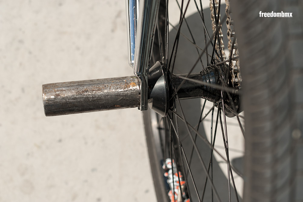 Janek Wentzky Bikecheck