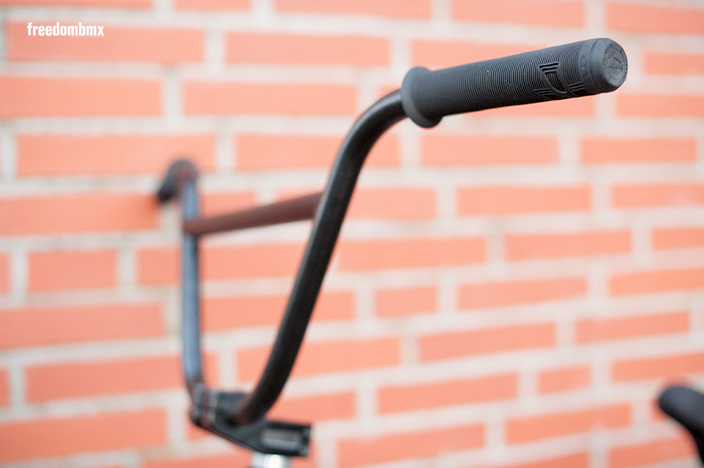 Daniel Portorreal Bikecheck V2