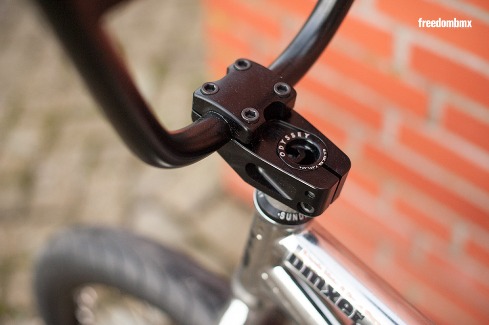 Daniel Portorreal Bikecheck V2