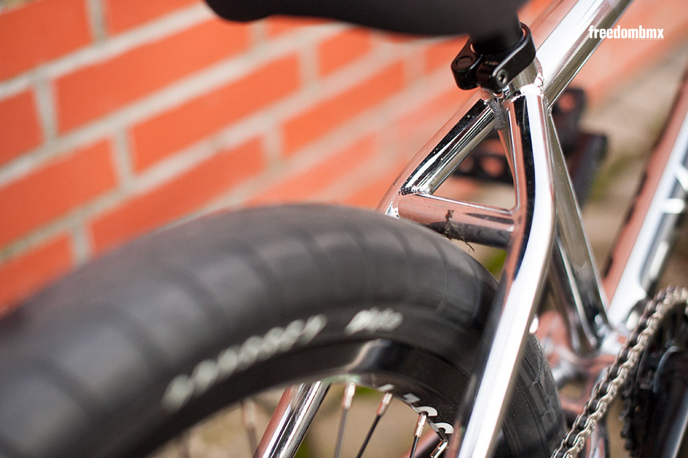 Daniel Portorreal Bikecheck V2