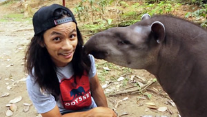 hoang-tran-odyssey-bmx-ecuador-video