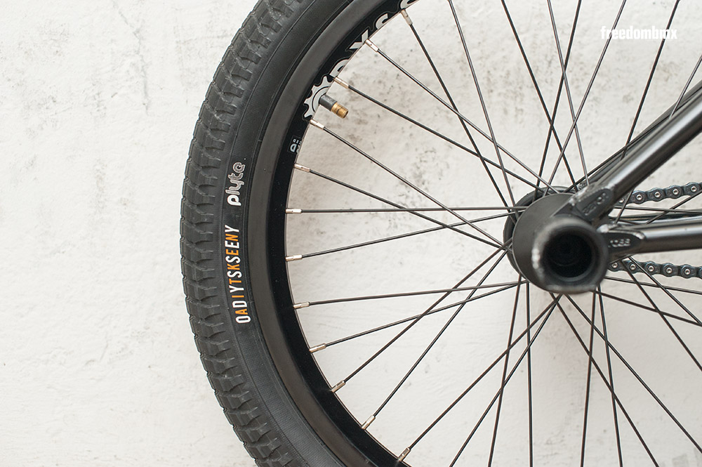 Lukas-Haeusler-Bikecheck