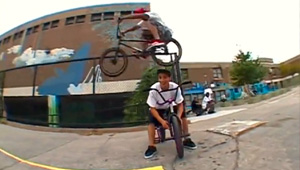 animal qss 6 bmx video