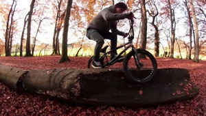 adrian warnken bmx video