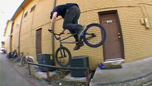 animal bikes the price is wrong team section