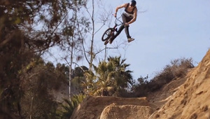 dawid godziek avebmx welcome edit