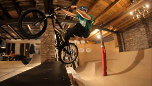 flipper bmx bowl video