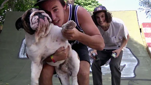 Simone Barraco und Joris Coulomb haben Trey Jones in Florida besucht, um mit ihrem Shadow-Teamkollegen eine Session auf dessen Gartenrampen zu fahren.