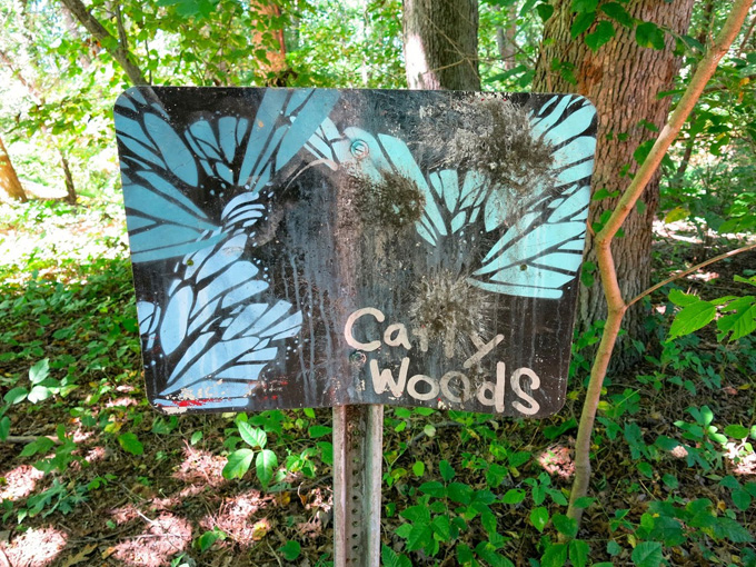 Catty Woods