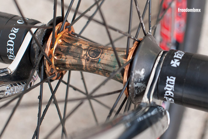 Janek Wentzky Bikecheck