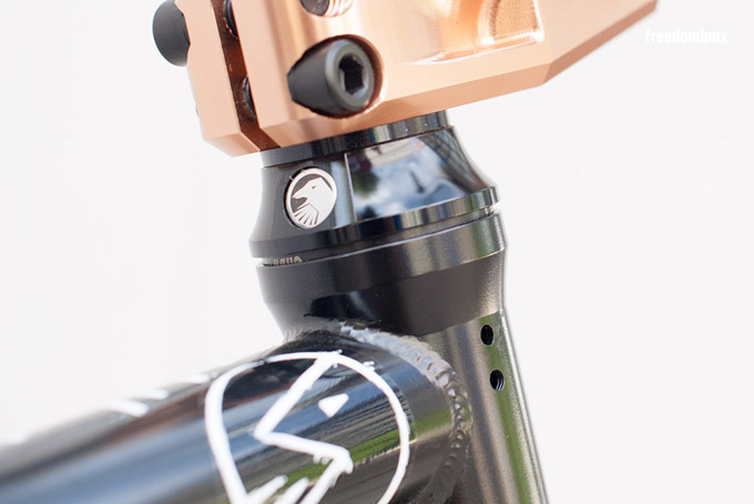 Janek Wentzky Bikecheck 2014