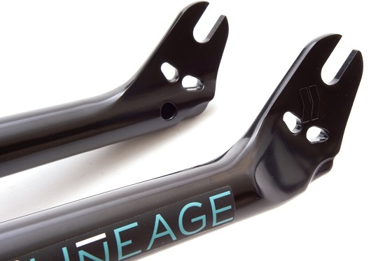 Auch ein Dropout kann entzücken.