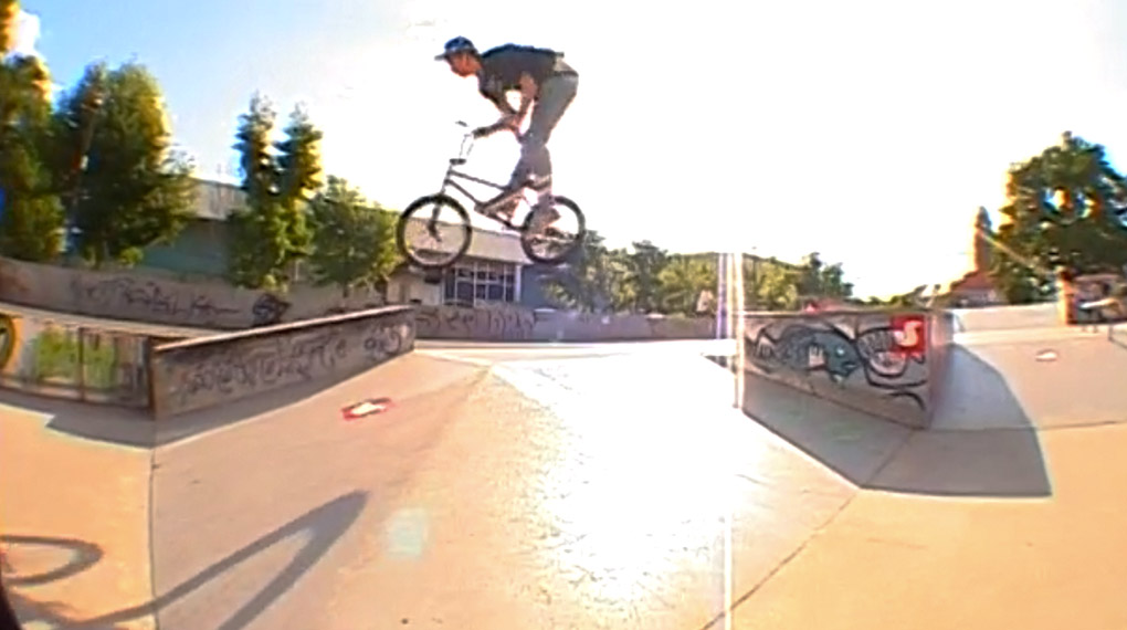 Leservideo Lingnerallee