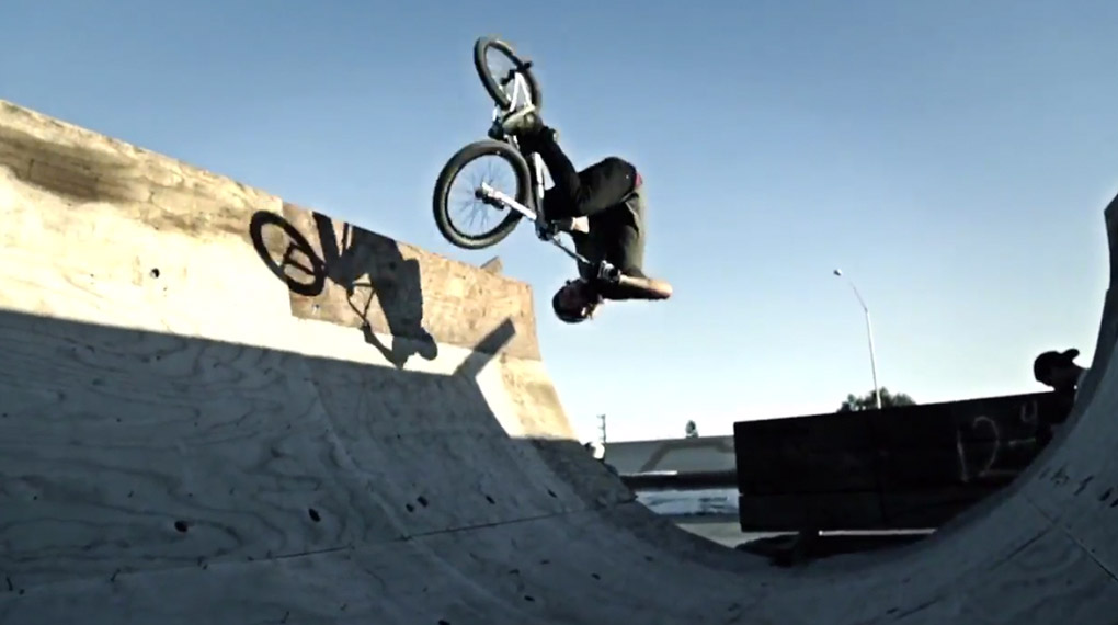 Drew Bezanson Fox we live Edit