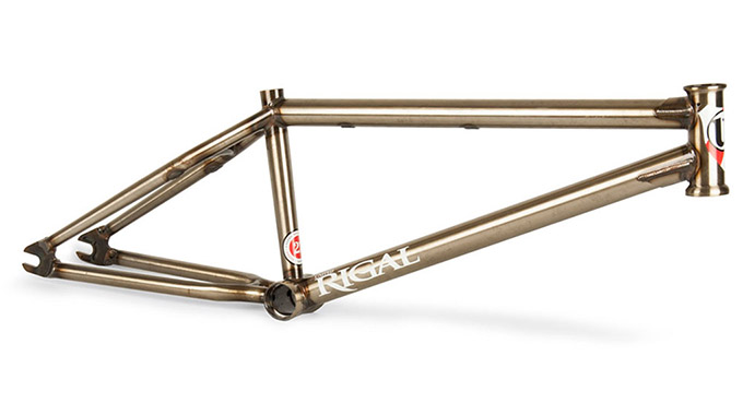 United Christian Rigal trans gold